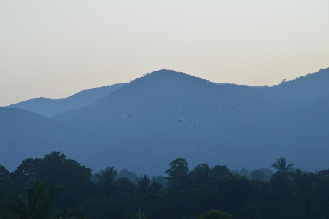 丹不拉Ridge Boundary View公寓 外观 照片